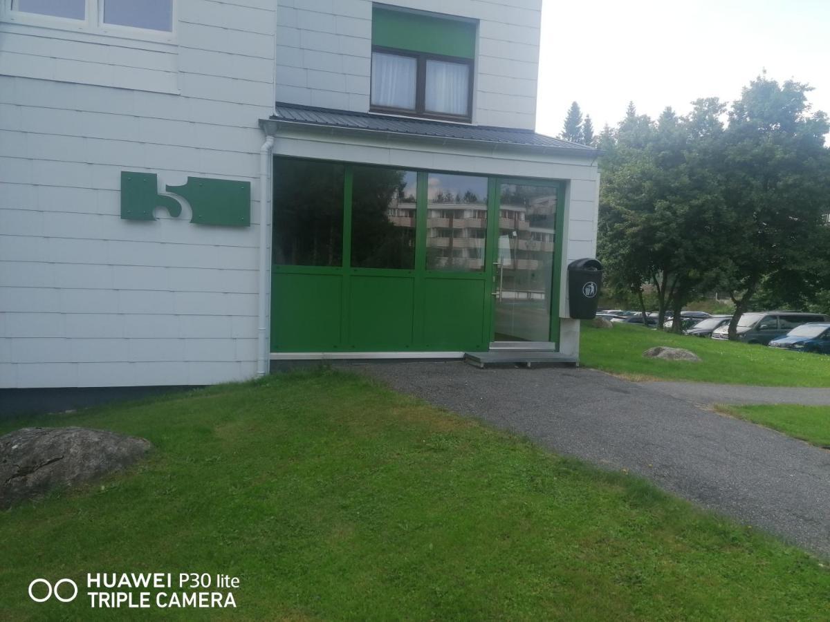 King Apartament 1 Mit Netflix Daire Sankt Englmar Dış mekan fotoğraf