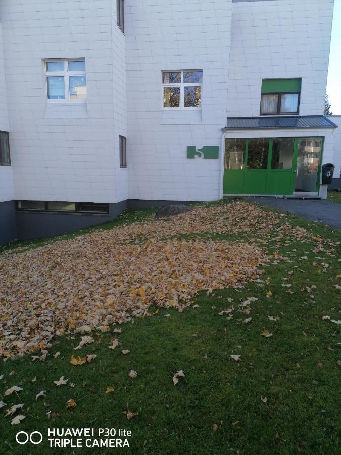 King Apartament 1 Mit Netflix Daire Sankt Englmar Dış mekan fotoğraf